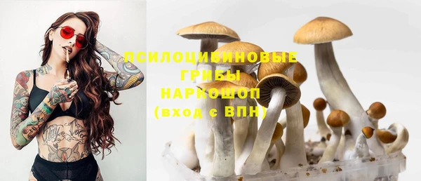 гашик Армянск