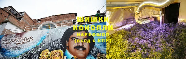 экстази Арсеньев